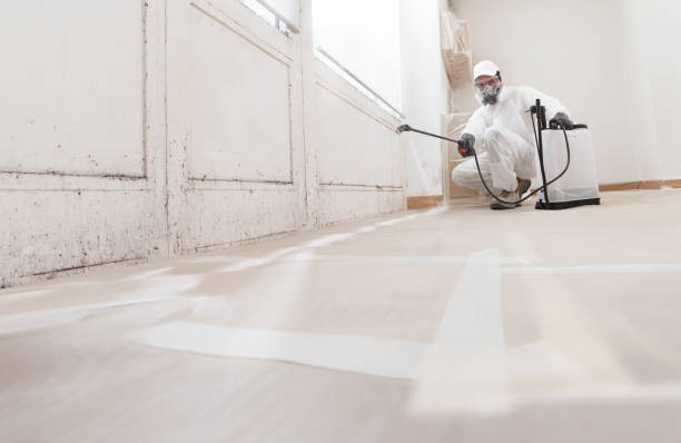 24/7 Emergency Mold Remediation experts in Howell, NJ